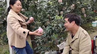 苏进园视频,探寻传统园林艺术的魅力与传承